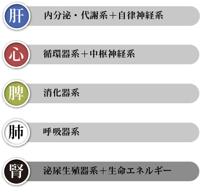 漢方における五臓概念